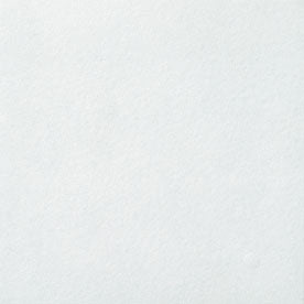 フォスキー 300mm角平(外床タイプ) IPF-300/FS-11