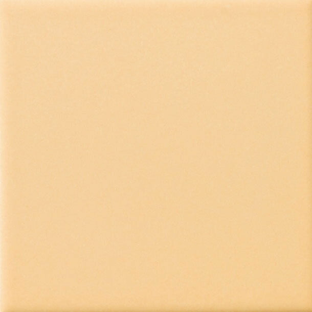 ジキーナ 100mm角片面取 JIN-1060/22