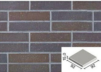 外装床タイル パティーノ 100mm角平 PTI-100/6