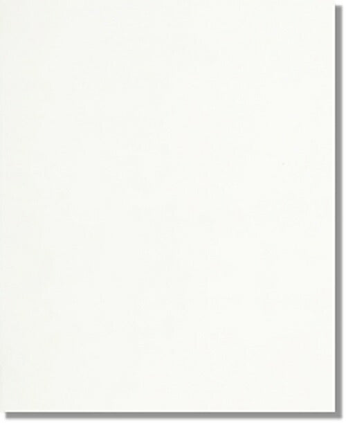 ニッタイ工業株式会社 内装壁タイル ムーロ MUR-25-10 平(200x250)