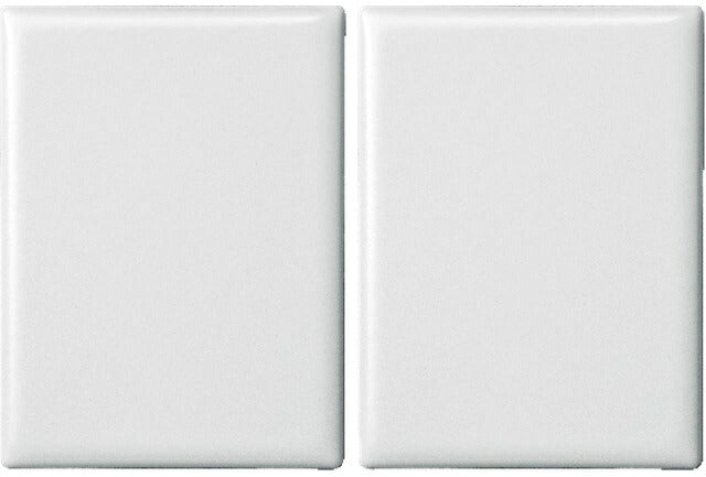 名古屋モザイク PURITY ピュリティ 100x75角平 (ケース) PUR-1