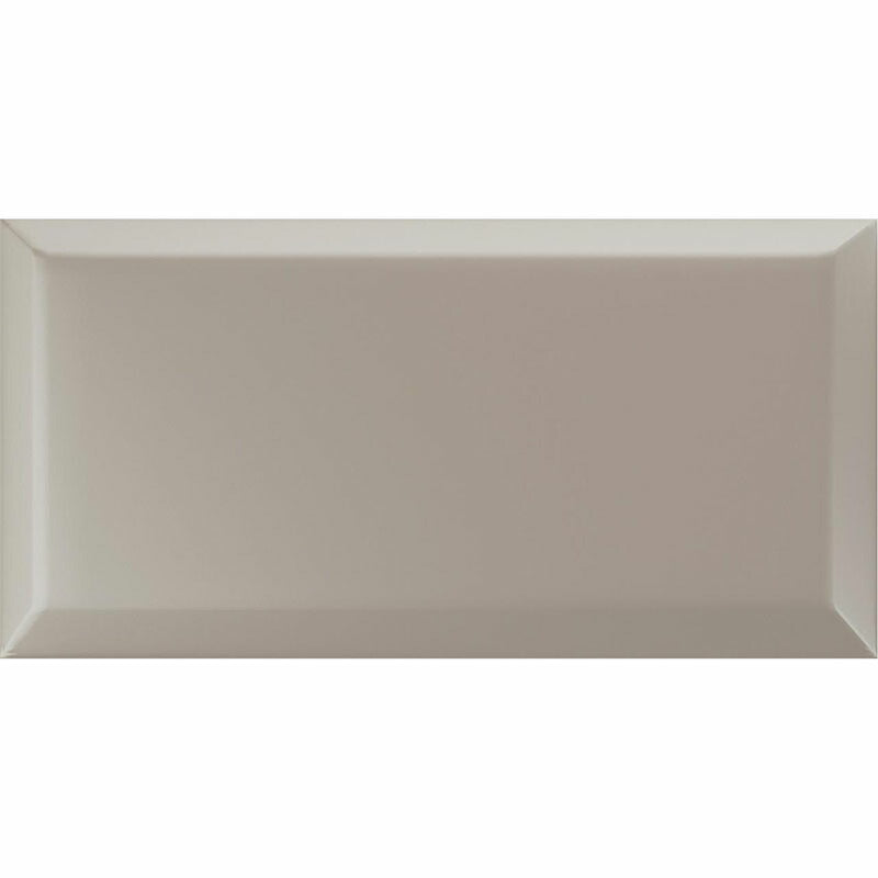 名古屋モザイク サテリッティ 200×100角特殊面状 (ブライト) VO-F6091